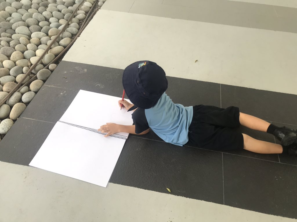 Observational drawings of plants in our school courtyard. Total focus and lots of new discoveries #EYPYGems #transdisciplinarylearning @GEMS_Singapore