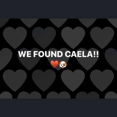 mandaaaa's tweet photo. @Chicago_Scanner please retweet!! CAELA HAS BEEN FOUND! https://t.co/ExoKpCsnfJ