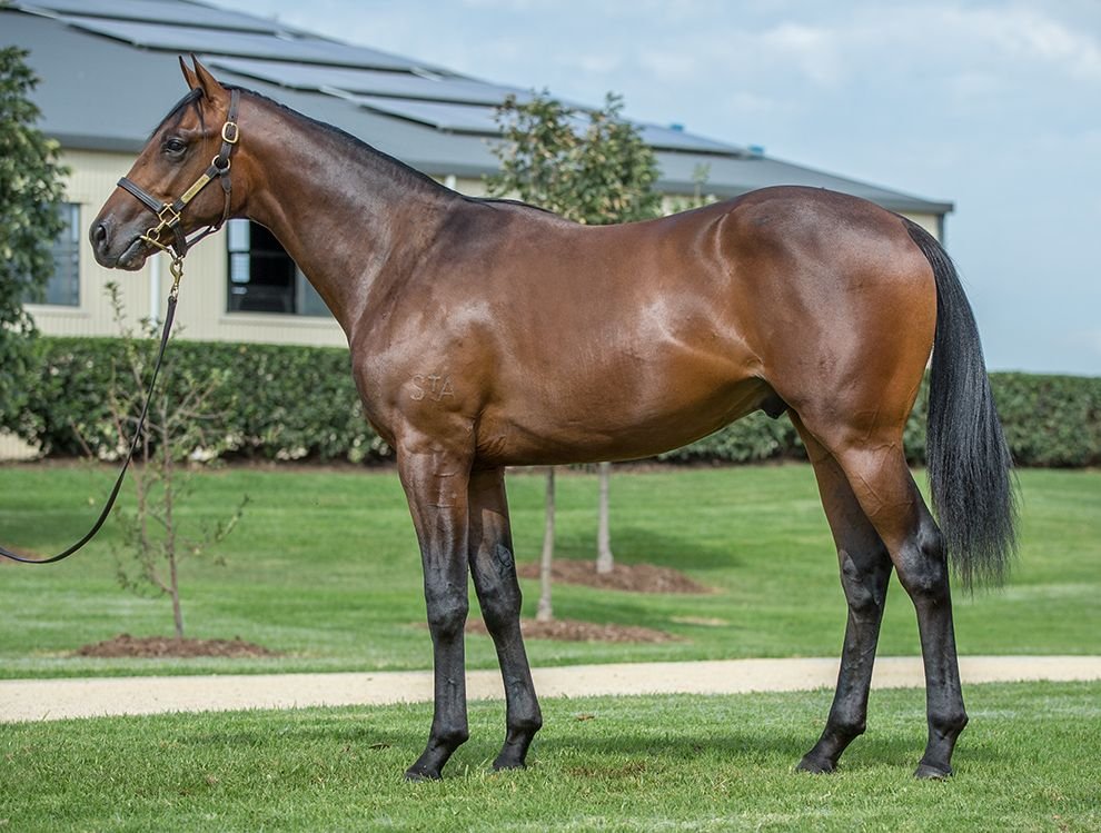 NewgateFarm's tweet photo. WOW‼️ What a massive run from PANCHO by Dissident to win the TCL TV Stakes @FlemingtonVRC! Sensational ride by @HugeBowman! Huge congratulations to @LaurelOakB @cwallerracing &amp; breeder @SledmereStud! #JoinTheRebellion #ItsPossible https://t.co/G43MAVXV19