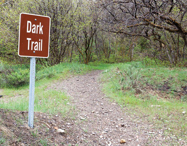 tooelevalley's tweet photo. The Dark Trail in the Eastern Tooele Valley is a great trail to explore here in our #beutahful Tooele Valley.
🚵
This easy- moderate trail is perfect to hike, horseback, or mountain bike. ATV/OHVs are prohibited.
🌤
#somuchsoclose #TooeleValley https://t.co/jzFepKThOs