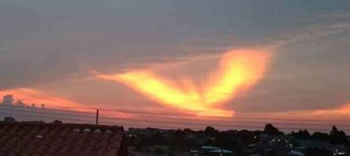 this cloud looks like moltres