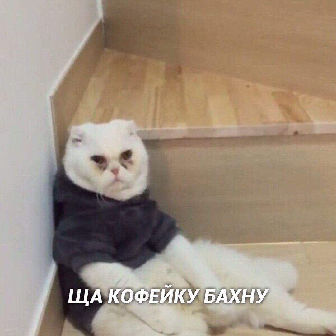 drunktwi's tweet photo. Лёг в 3:00, пpocнулся в 7:00 https://t.co/9yVgx7cNgG