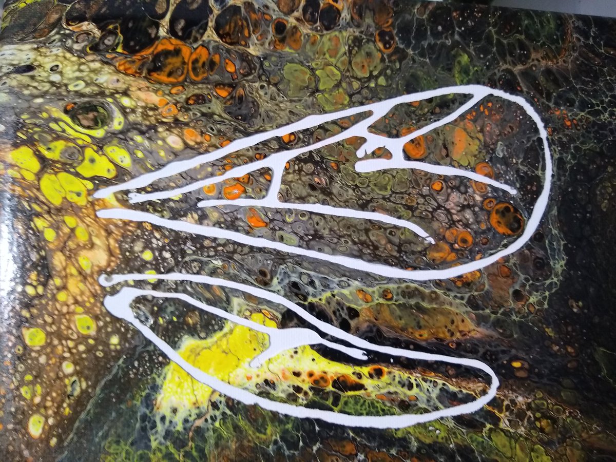 Disholcaspis's tweet photo. I'm working on a new series of insect wing venation paintings. So far I've concentrated on Hymenoptera but I plan on doing a Diptera set next. They are a little wonky because drawing free hand with a bottle of goo is hard but I'm happy with the results. https://t.co/6tDYyQL2YO