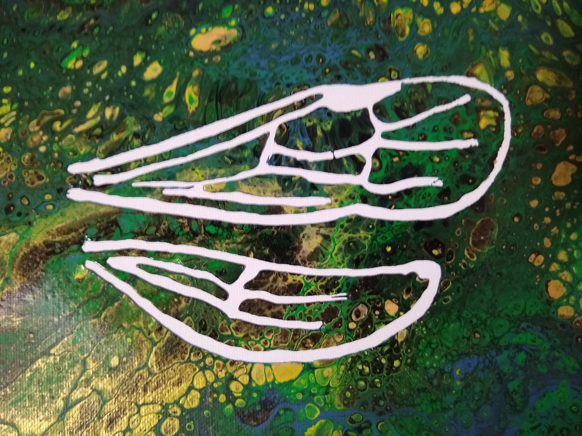 Disholcaspis's tweet photo. I'm working on a new series of insect wing venation paintings. So far I've concentrated on Hymenoptera but I plan on doing a Diptera set next. They are a little wonky because drawing free hand with a bottle of goo is hard but I'm happy with the results. https://t.co/6tDYyQL2YO