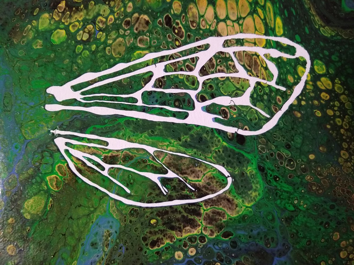 Disholcaspis's tweet photo. I'm working on a new series of insect wing venation paintings. So far I've concentrated on Hymenoptera but I plan on doing a Diptera set next. They are a little wonky because drawing free hand with a bottle of goo is hard but I'm happy with the results. https://t.co/6tDYyQL2YO