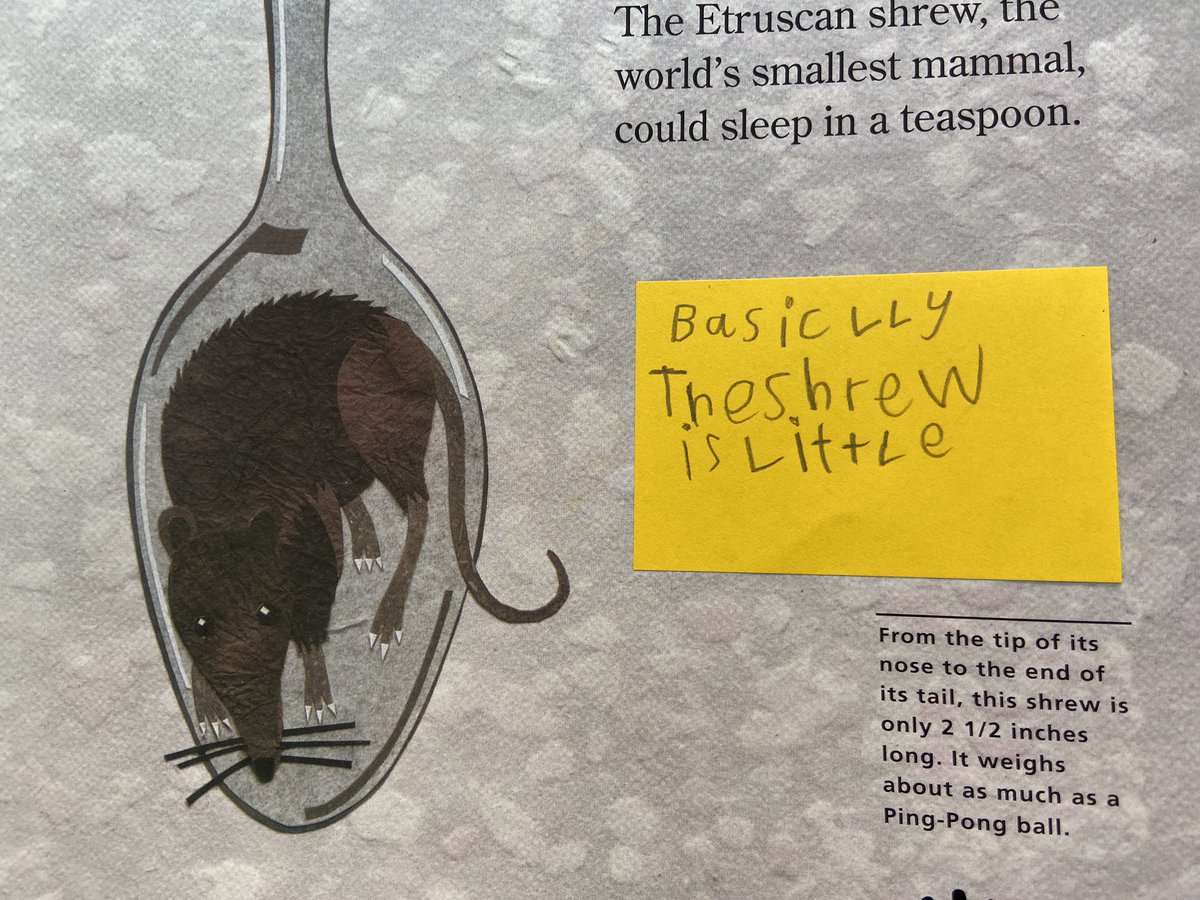 #NISTis exploring Literary Nonfiction in <a href="/Y3NIST/">Y3NIST</a> - this is an accurate summary! 😂 <a href="/NISTSchool/">NIST Int. School</a> <a href="/Katherineqi/">Katherine Williams</a>