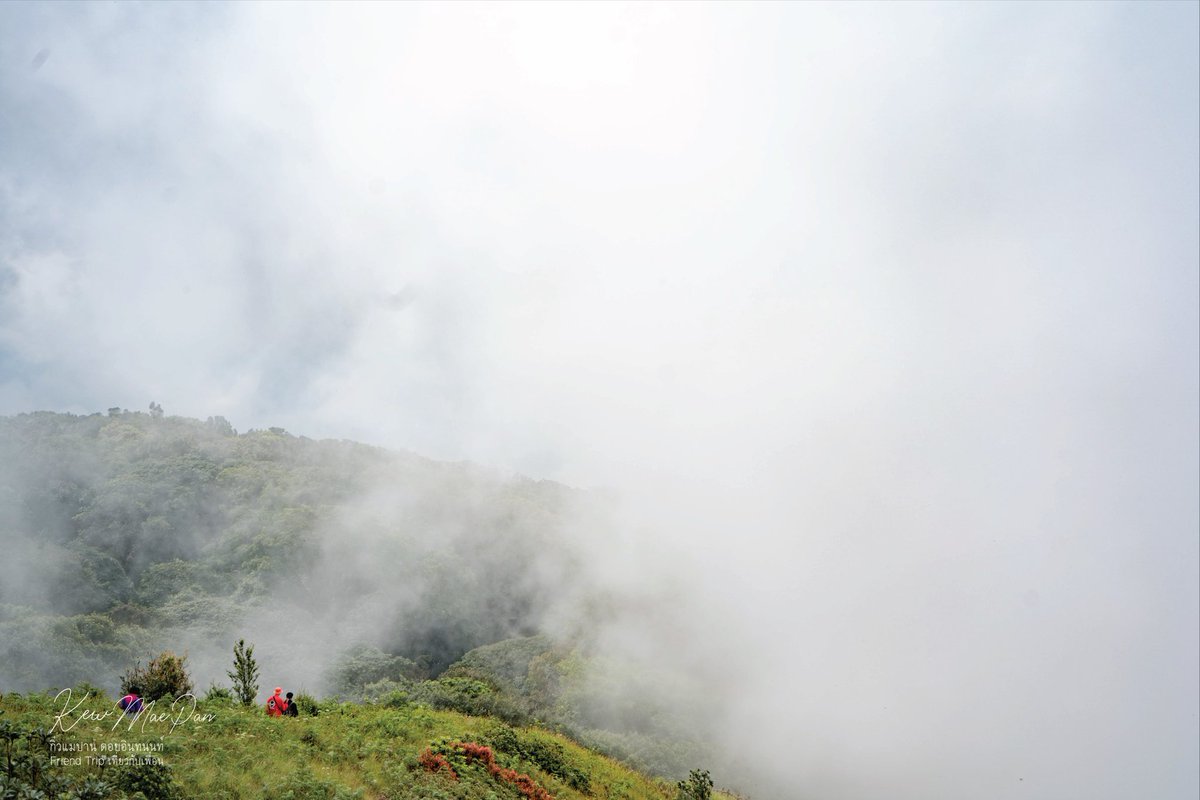 ต ะ ล๊ อ ป ก๊ อ ป แ ก๊ ป tweet media