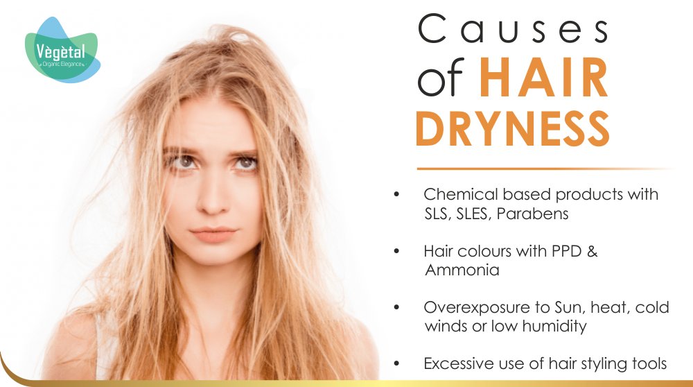 Hairdryness Hashtag On Twitter