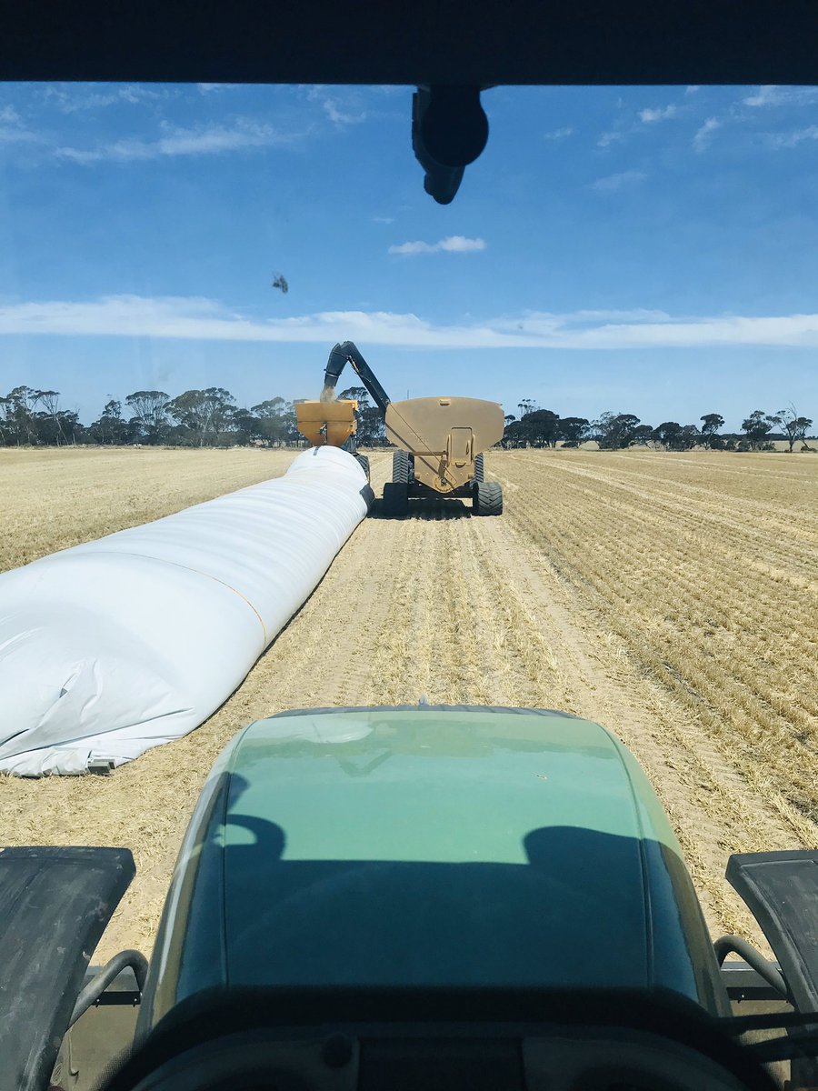 Emily Starcevich tweet media