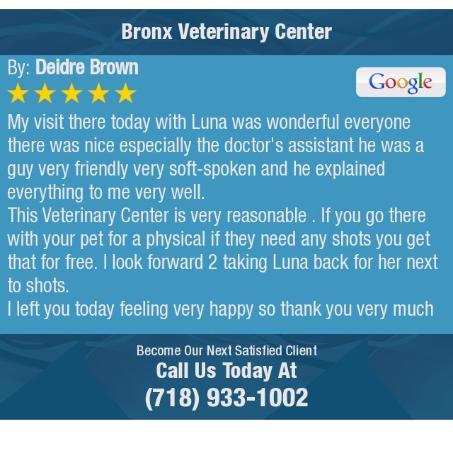 bronx veterinary center of webster avenue