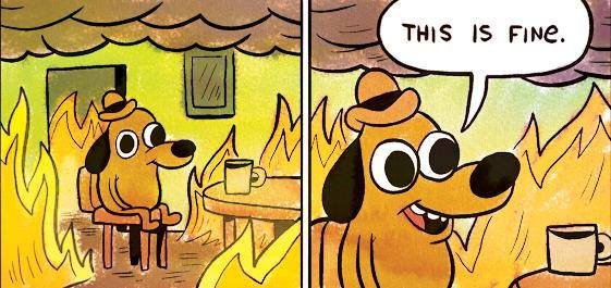 Dog in a room on fire says "this is fine" meme.