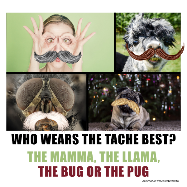 SoulSunDesigns's tweet photo. Get our tashtastic furry upper lips at🍏stickers for your iPhone or iPad and bring out your funny side! Mo Hair Beards n Staches https://t.co/8czrLOK3n9
#mostache #movember #moustache #MagnumPI #makeover https://t.co/9odek7pEho