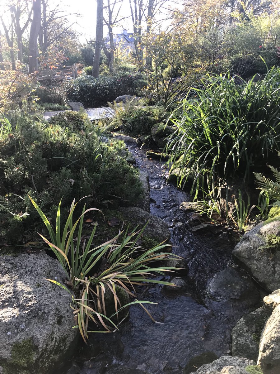 Daniel Mulhall tweet media