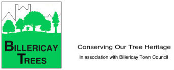 We're supporting The #Billericay Tree Warden Group, raising awareness of the importance of our local Tree Heritage. Donations are currently helping to #plantmoretrees around the town. ow.ly/bbpN50x4vqG