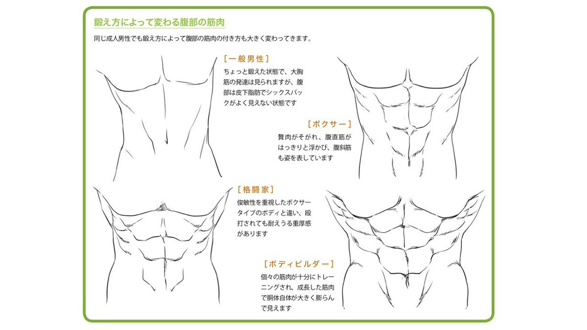 玄光社 超描けるシリーズ 超描ネタ帳 マッチョの象徴とも言える腹筋ですが 鍛え方によって筋肉のつき方は大きく異なります つよ丸さん Tsuyomaru1a 著 色気のある男の描き方 より T Co 6aatglrcsi 超描ネタ帳 T Co