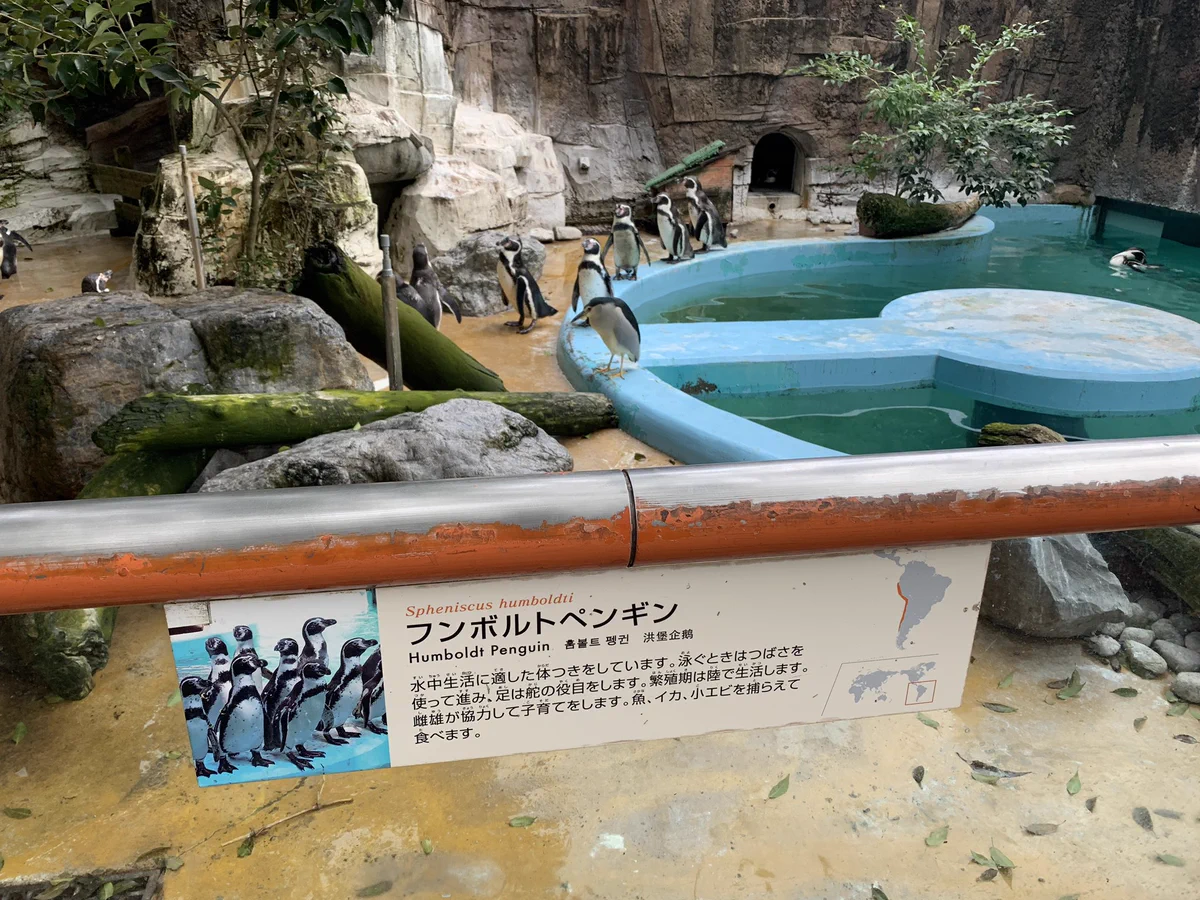 ペンギンコーナーに来たはずなのに？別なものがいたwww