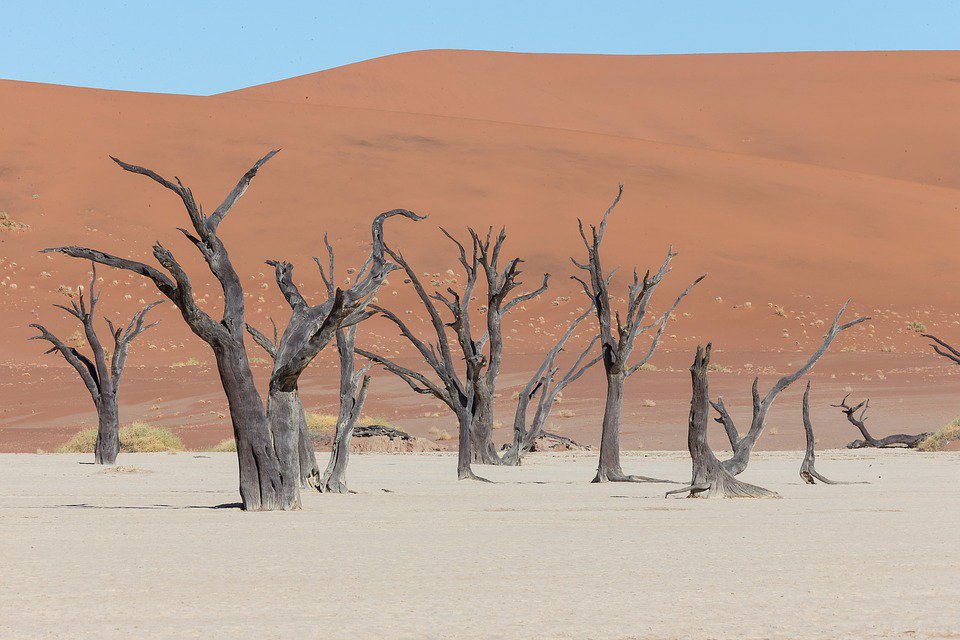 JitMost's tweet photo. #Desert 
#RoadTrip #DesertTour #DesertClimbing 
#ClayPan #Deadvlei #Sossusvlei #NamibNaukluftPark #Park
#Namib #NamibDesert #Dunes #AtlanticOcean #Namibia

Credit to the wonderful photographer😙

#Travel  #Landscape #Hike #Tour #Climb  #Nature #Experience #Enjoy #JitMost #JustGo https://t.co/cd0AmKaw2E