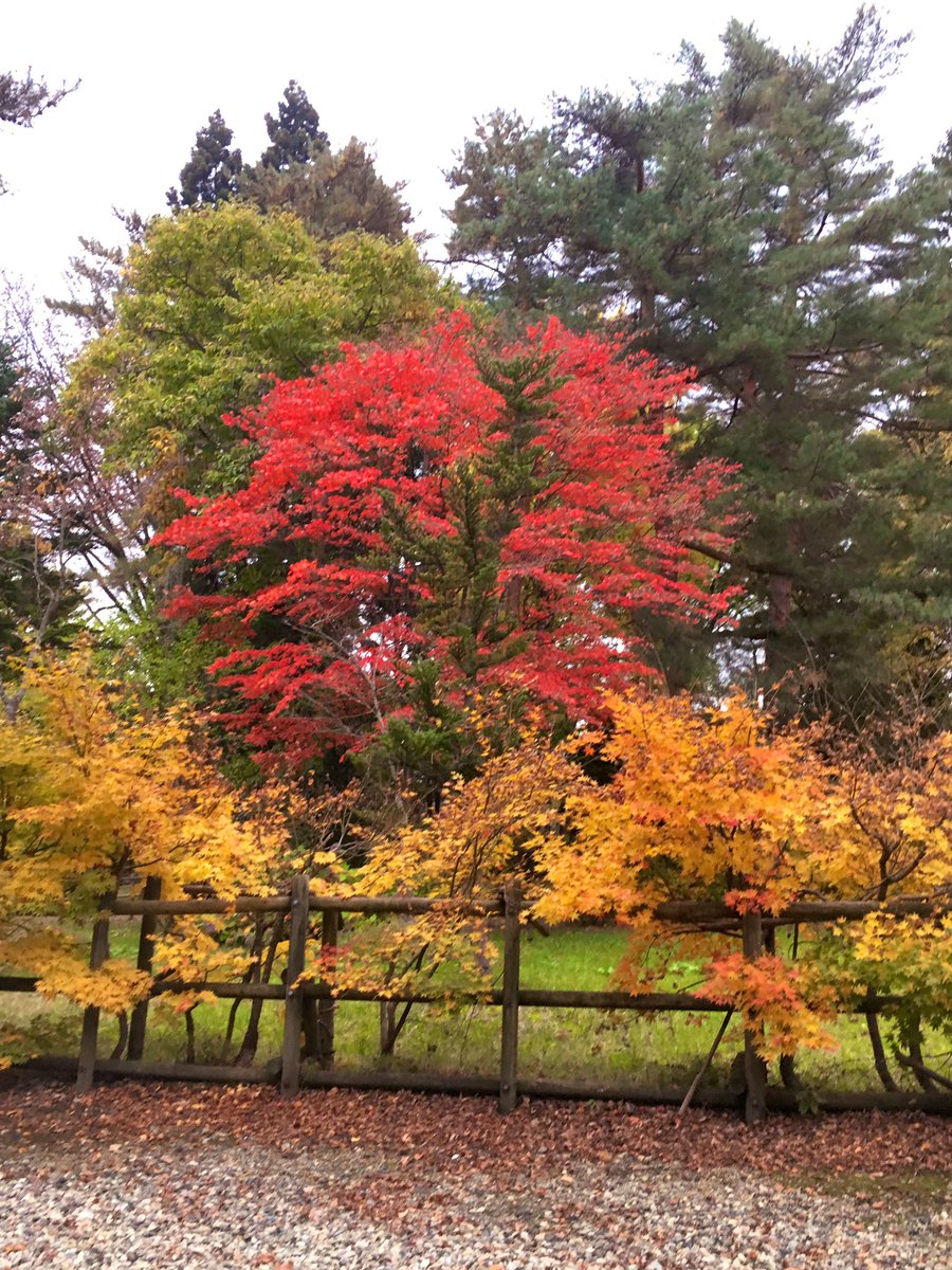 角館の紅葉の21年見頃時期やライトアップは アクセスや駐車場は そらいろ 日本が魅せる多彩な表情