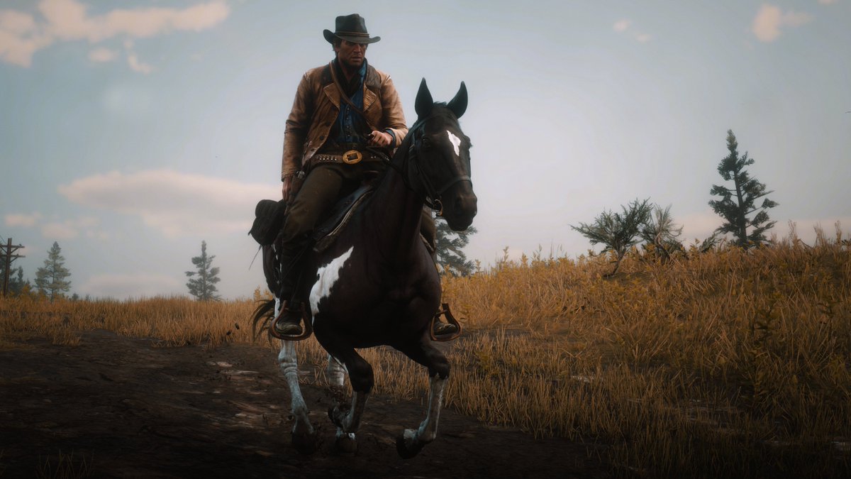 IXscars's tweet image. Red Dead Redemption 2 
#PhotoMode #rdr2pc