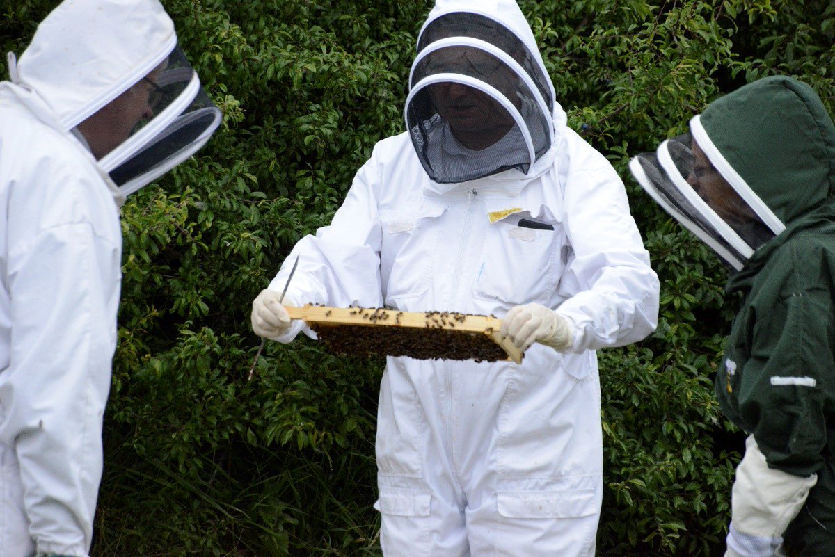 ESWH2O's tweet photo. We are supporting aproject with @EssexWildlife to introduce British Black Bees to #Abberton! 🐝💙 Check out https://t.co/u2RqiqDvzw  to see the progress!  #BIBBA #BlackBees  #Environment https://t.co/uJ9sfQlBHI