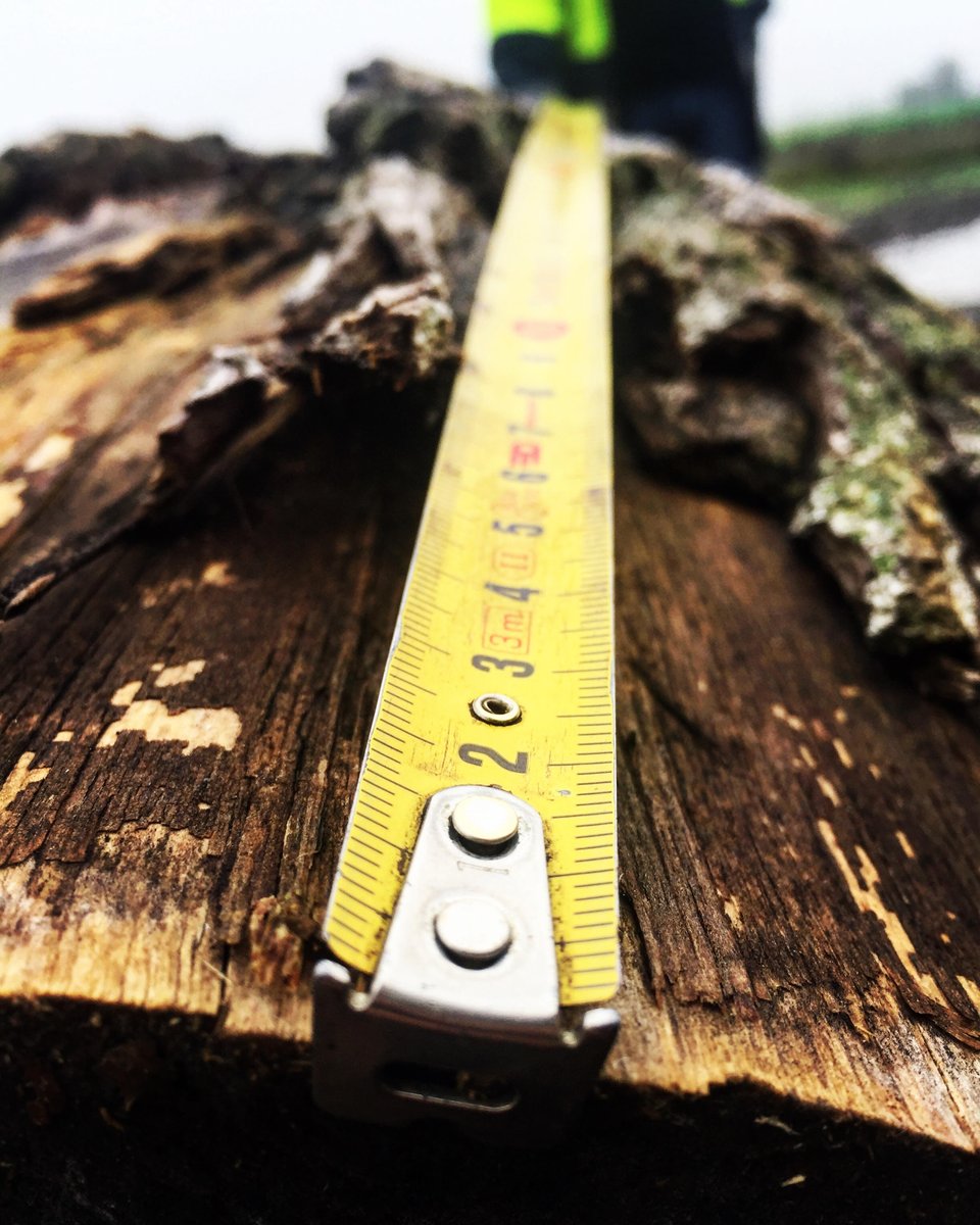 GroupeLeuke_'s tweet image. On commence la journée par #jeudiphoto !
Belle journée à tous 🙌