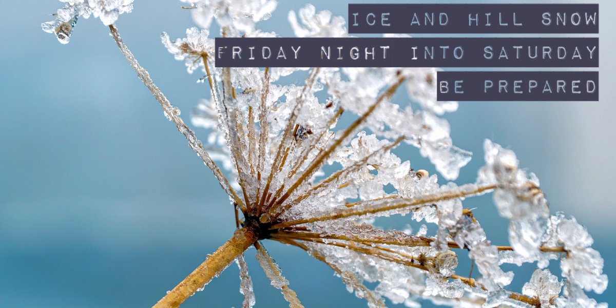 Gritting Network⛄️ tweet media