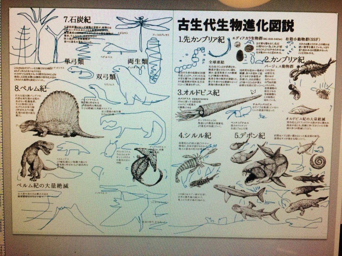 本番はアナログで描くけどまずデジタルでポージングやら配置決め、何よりどの種を入れるかの仮決め。去年までPCのトラックパッドで描いてたたけどiPadがあるからかなり融通が効く。でもトラックパッドで描いた殴り書きも、なかなかかわいいものがある。#古生物進化図鑑 #いきもにあ 