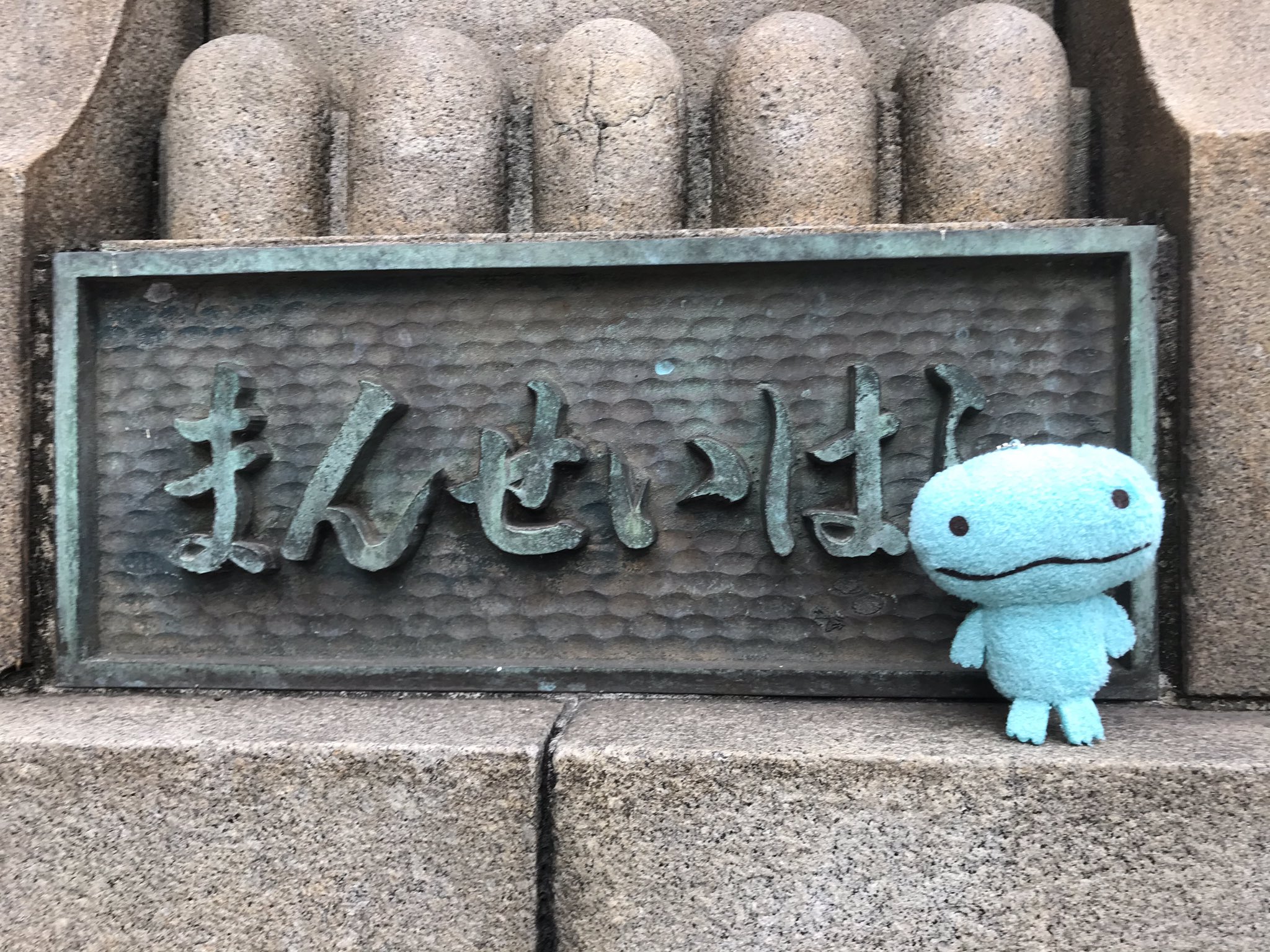 ピヨ山 8 ピヨ彦 まんせいばし アランジアロンゾ とかげちゃん T Co Jxhx1a8tcz Twitter
