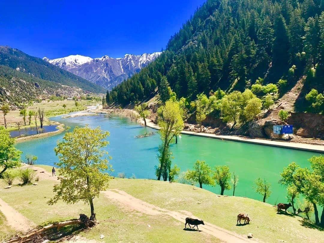 Wais Barakzai on Twitter: "The beauty of #Nuristan Province. Picture Gov of Nuristan… "
