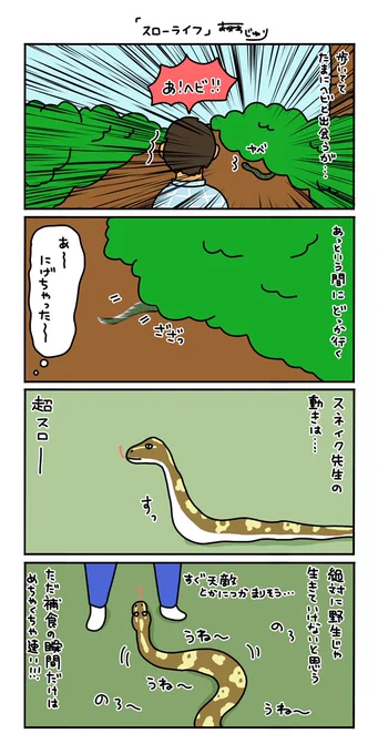 【ヘビ?漫画】

スネイク先生が野生だったらあっという間に
天敵に捕まってしまいそう・・・。 