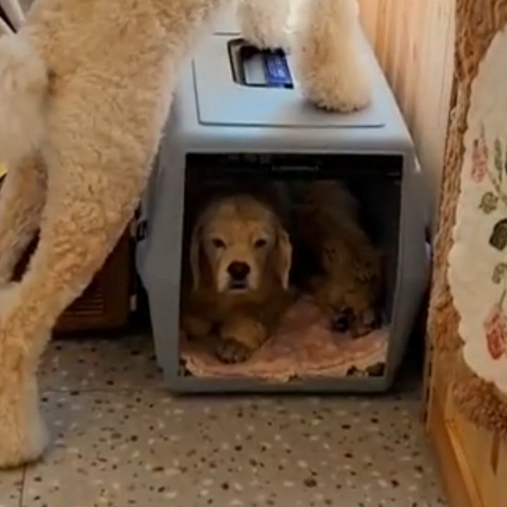 คุมะ ไคฮยอง ที่ร้านวันนี้