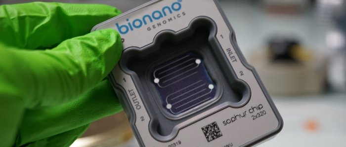 CNRGV's tweet image. New project on Apricot @CNRGV 🍑🌳🧬

Sandrine Arribat, our #opticalmapping expert is working on Comparative genomics of Armeniaca (apricot) species in collaboration with Véronique Decroocq and @agroppi

#plantevolution #plantgenomics @bionanogenomics