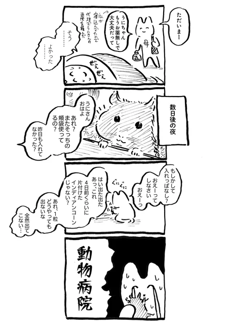 うにさんと私48  #うにさんと私 #創作漫画 #エッセイ漫画 