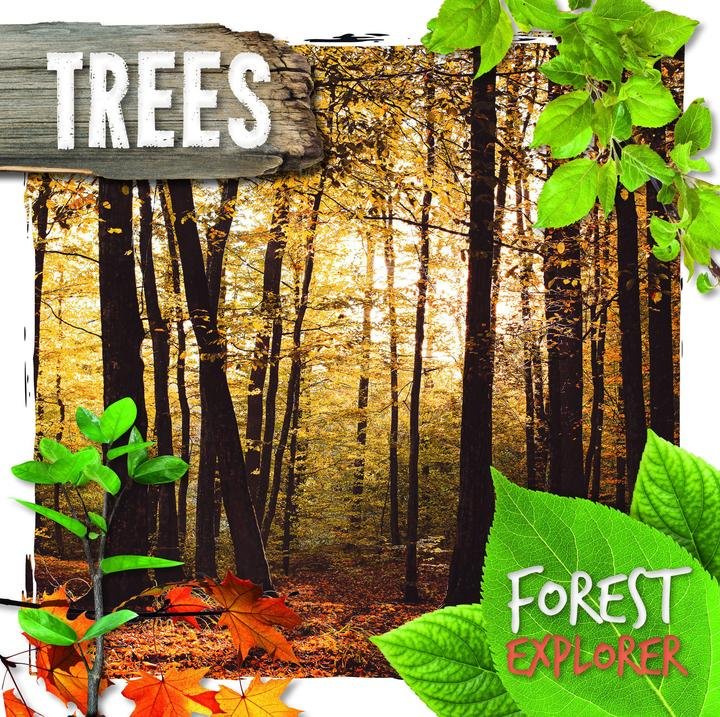 BooklifePubLtd's tweet photo. It's a very autumnal #OutdoorClassroomDay today! ☔🍂🍁

If you love taking your class outside, Forest Explorer by @RobinTwiddy and @GLiddington has #ForestSchools and adventurous teachers in mind! 💚

https://t.co/RUVog7B9dX

#MuddyGoodFun #GetYourClassOutOnTheGrass #edutwitter https://t.co/dTuI1LCRLx