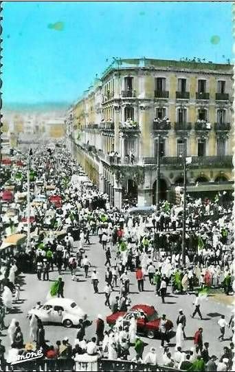 Le jour de l'indépendance 
#Algerie_manifestation 
#Algerie 
#انا_مانبيعهاش 
#Əliza 🇩🇿