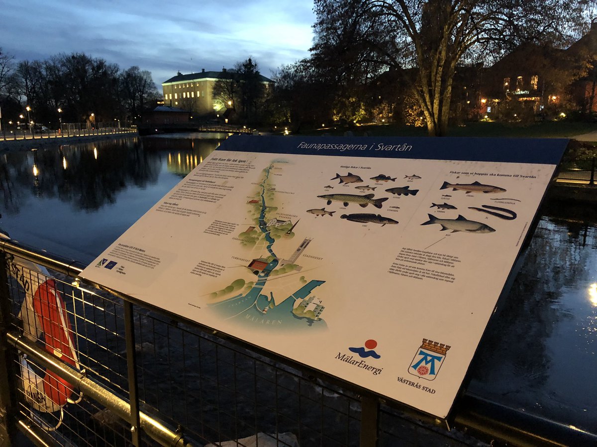 _BIOTOPIA_'s tweet photo. Det här vackra inloppet för vandrande fisk finns i Västerås. Till våren kan asp och andra fiskarter ta sig upp i Svartån på liknande sätt som de kan i Uppsala. Och vilka fina skyltar de har! Danny och Emil fick en guidad tur i området igår. #LIFEiprichwaters #Västerås https://t.co/XGeb2kKu9J