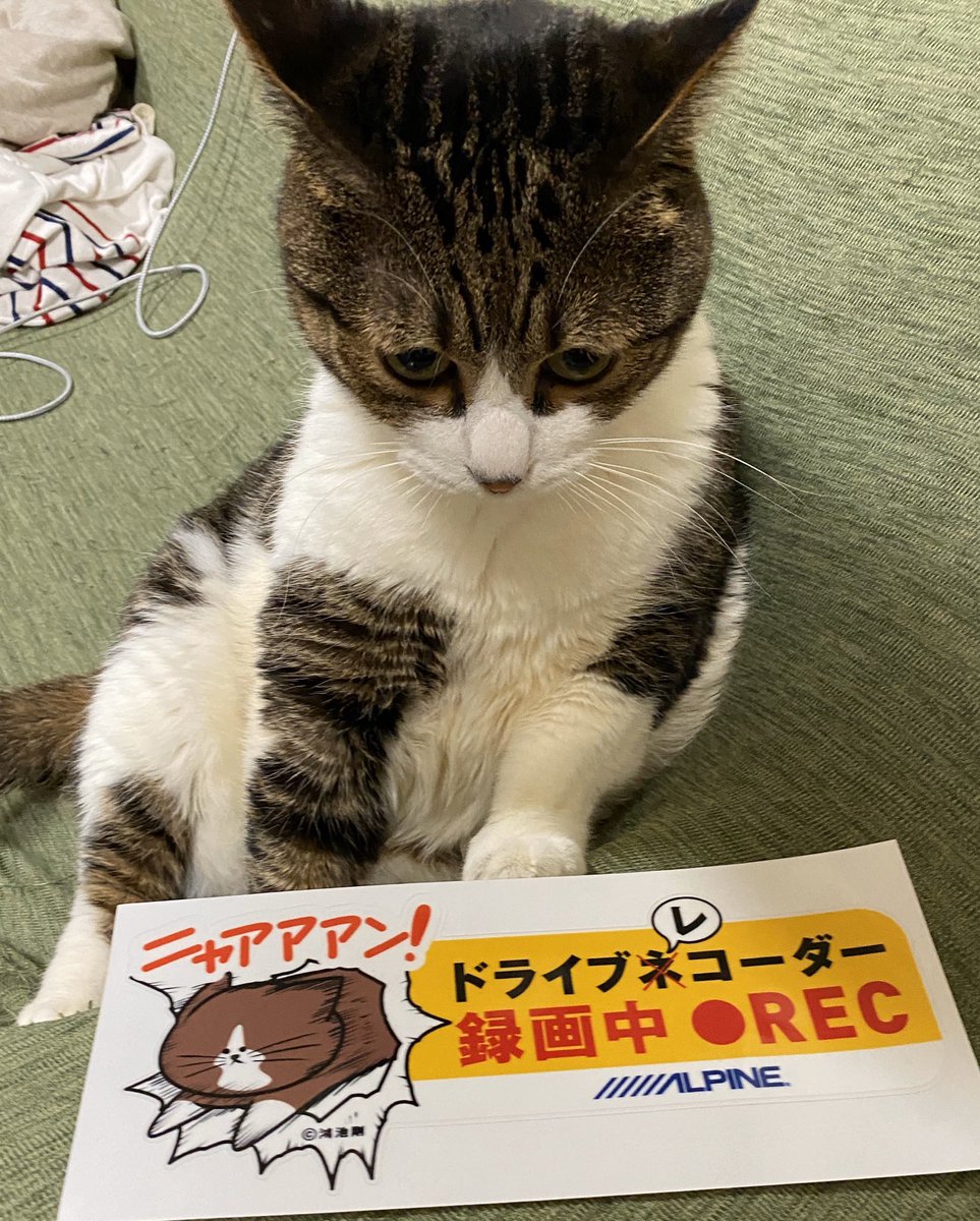 鴻池剛と猫のぽんた ニャアアアン ウッドブック未収録ツイートまとめ ヒモメン Togetter 鴻池剛と猫のぽんた ニャアアアン ウッドブック未収録ツイートまとめ ヒモメン Togetter