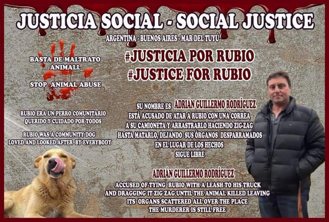 good37405813's tweet photo. SEGUIMOS ESPERANDO Sres Jueces !!! https://t.co/G1EuXZUNli