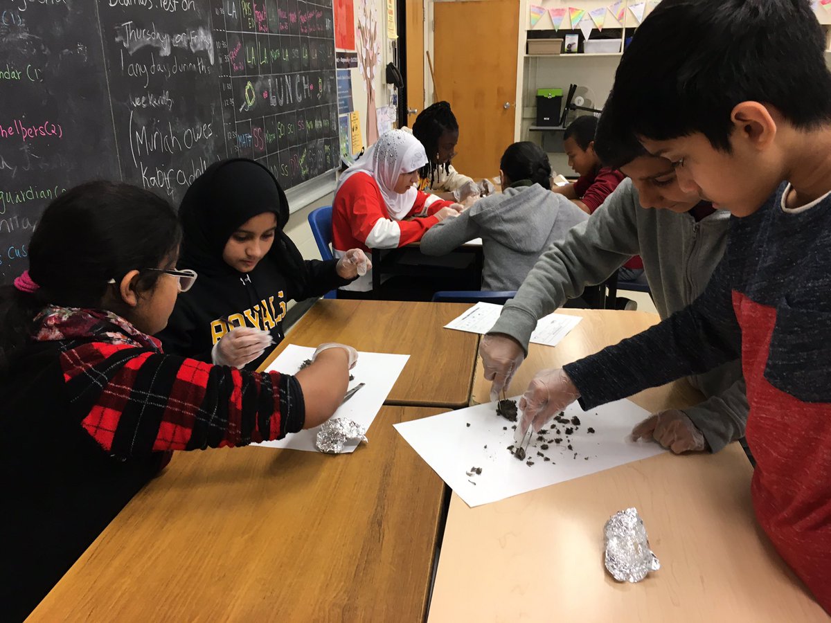 Dissecting owl pellets and learning about #energytransfer #ecosystem <a href="/BalmoralDrivePs/">Balmoral Drive</a> <a href="/PeelSchools/">Peel District School Board</a> #peelEML #peel21st #handsonlearning