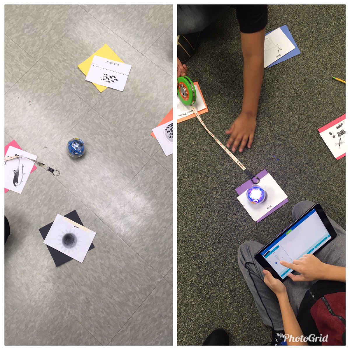 Science Center-Mrs V tweet media