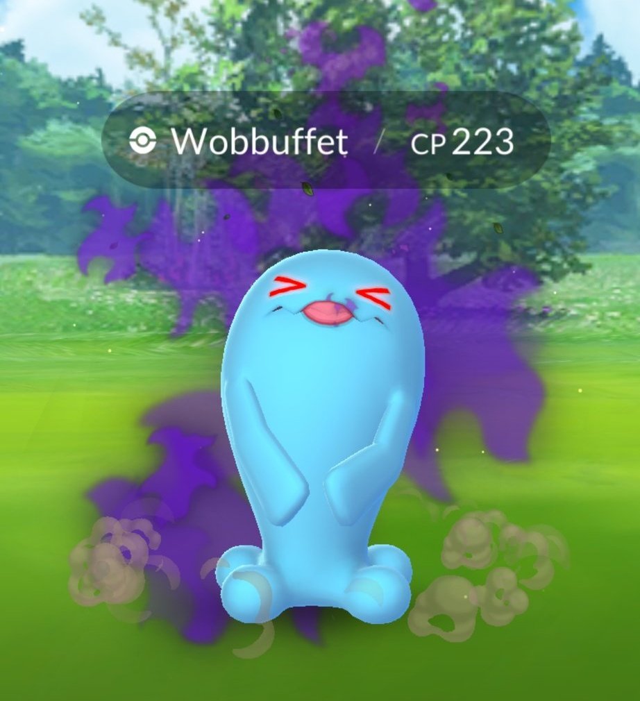 Wobbuffet (Pokémon) - Pokémon GO