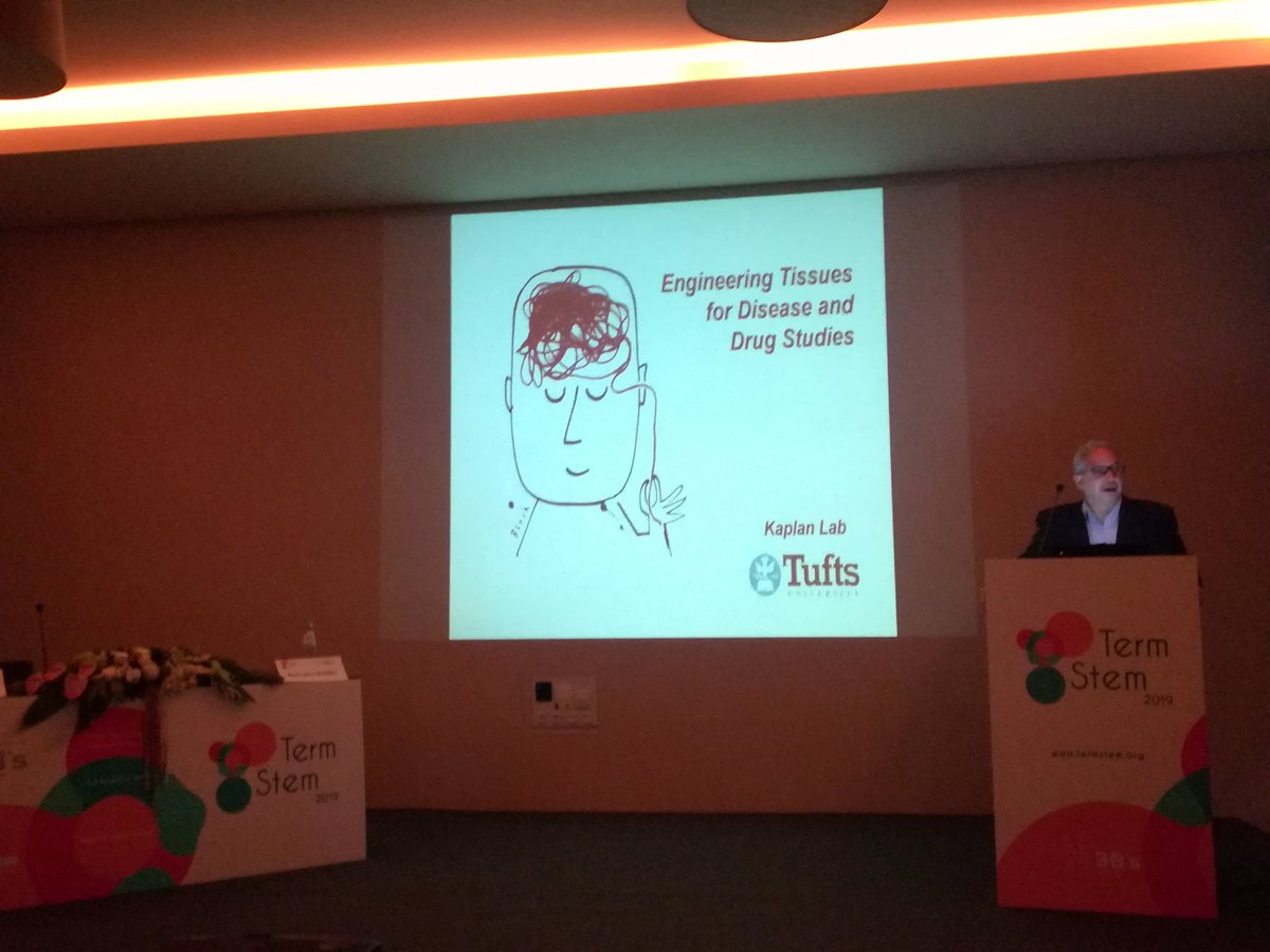 Fantastic talk by Prof. David Kaplan from Tufts University, USA on engineering tissues for disease and drug studies at #TERMSTEM conference