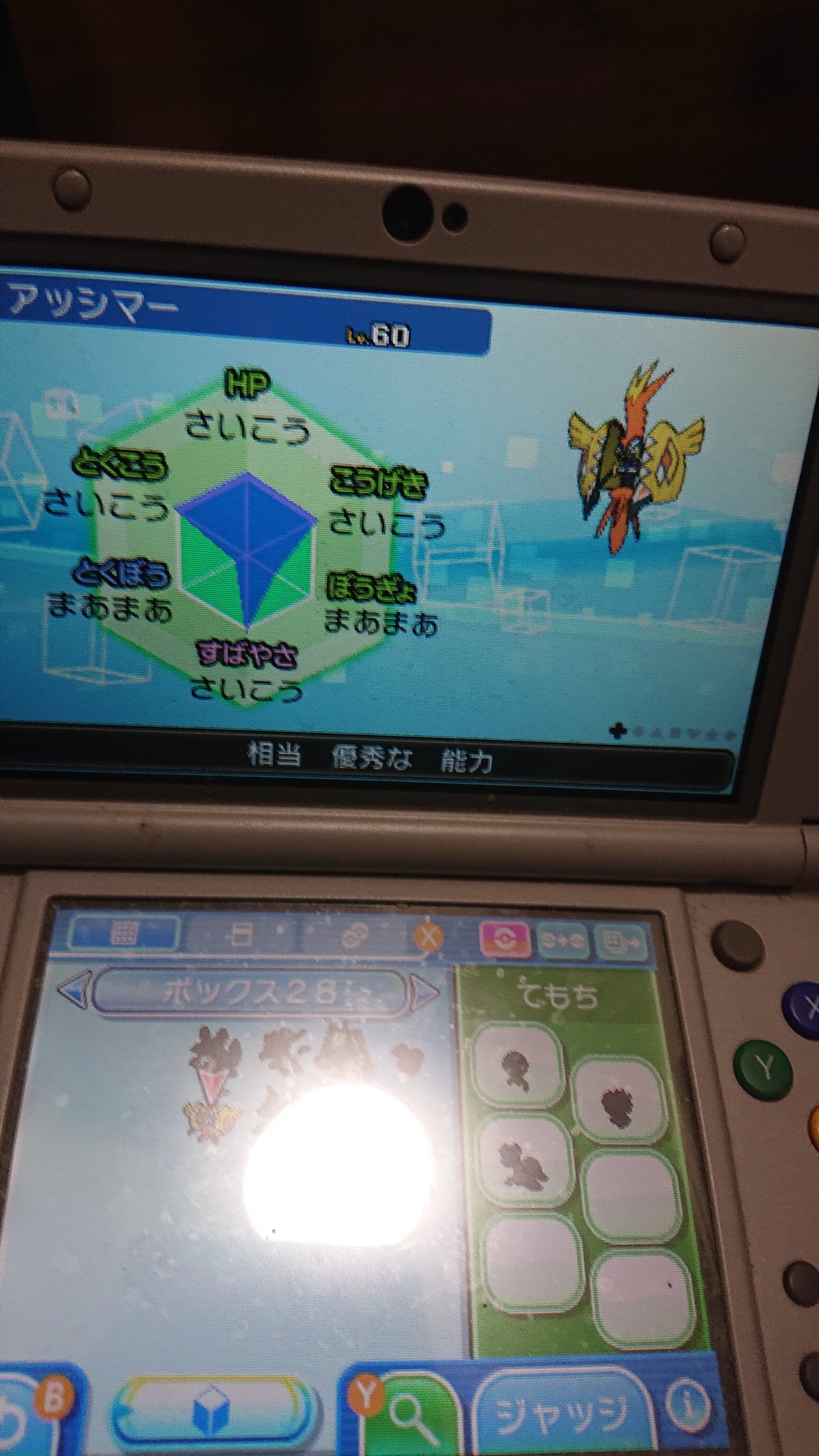 アギルダー カプコケコ 性格はむじゃきwでも初めてえりきゃんオフの予選をぬけたのはこの子のおかげ 倒されたときはアッシマーがと心のなかでいっているw T Co Vhprq2bpqy Twitter