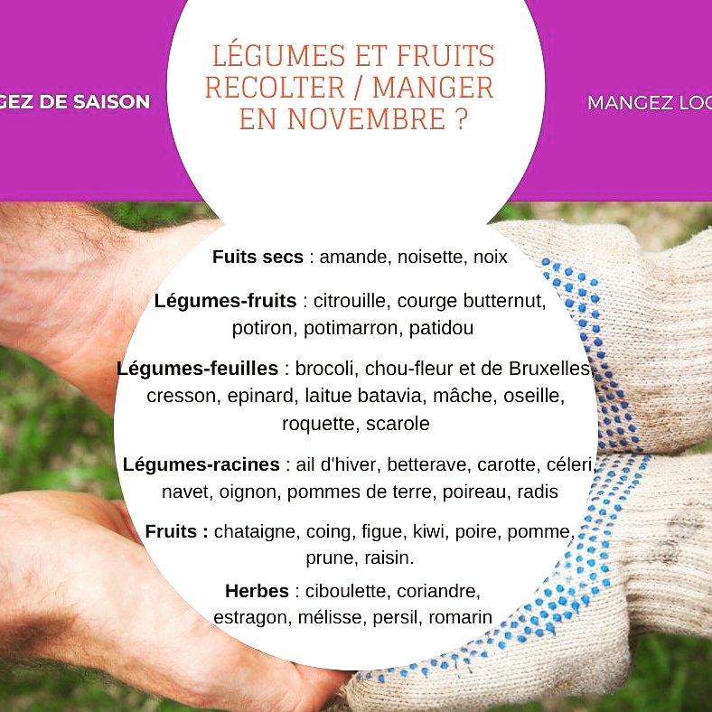 TZwezo's tweet photo. Novembre c'est triste... mais vous pouvez qd même vous faire plaisir en mettant de la couleur dans votre assiette.😁 #coings #betteraves #carottes #celeri #cresson #chataignes #courges https://t.co/P5zLuoY5LW