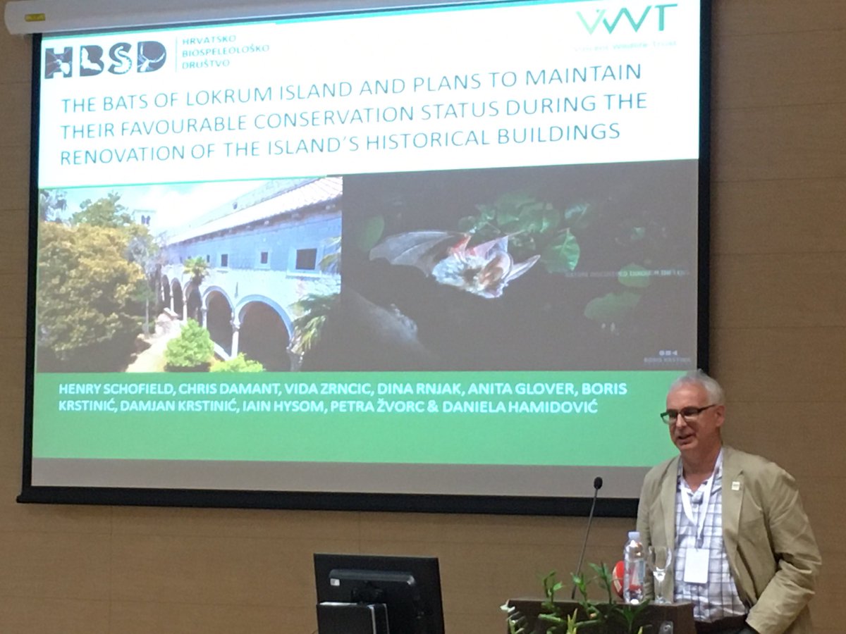 Learning lots about the ecology of Lokrum - Restoration of historic buildings and bats @vincentwildlife @Henry_Schofield #lokrum #monastery #dubrovnik #croatia