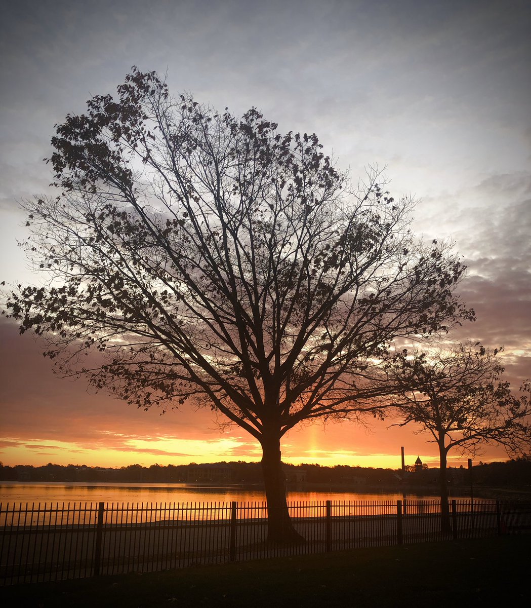 CoachBWhite7's tweet photo. #BCBeautiful Just another wonderful morning on the best campus in America! https://t.co/wjzIak6epH