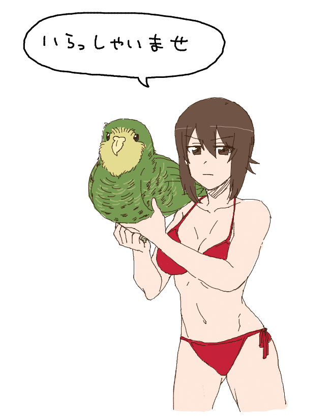 何故かいつも赤ビキニで客を出迎えているまほお姉ちゃん #いいおなかの日 