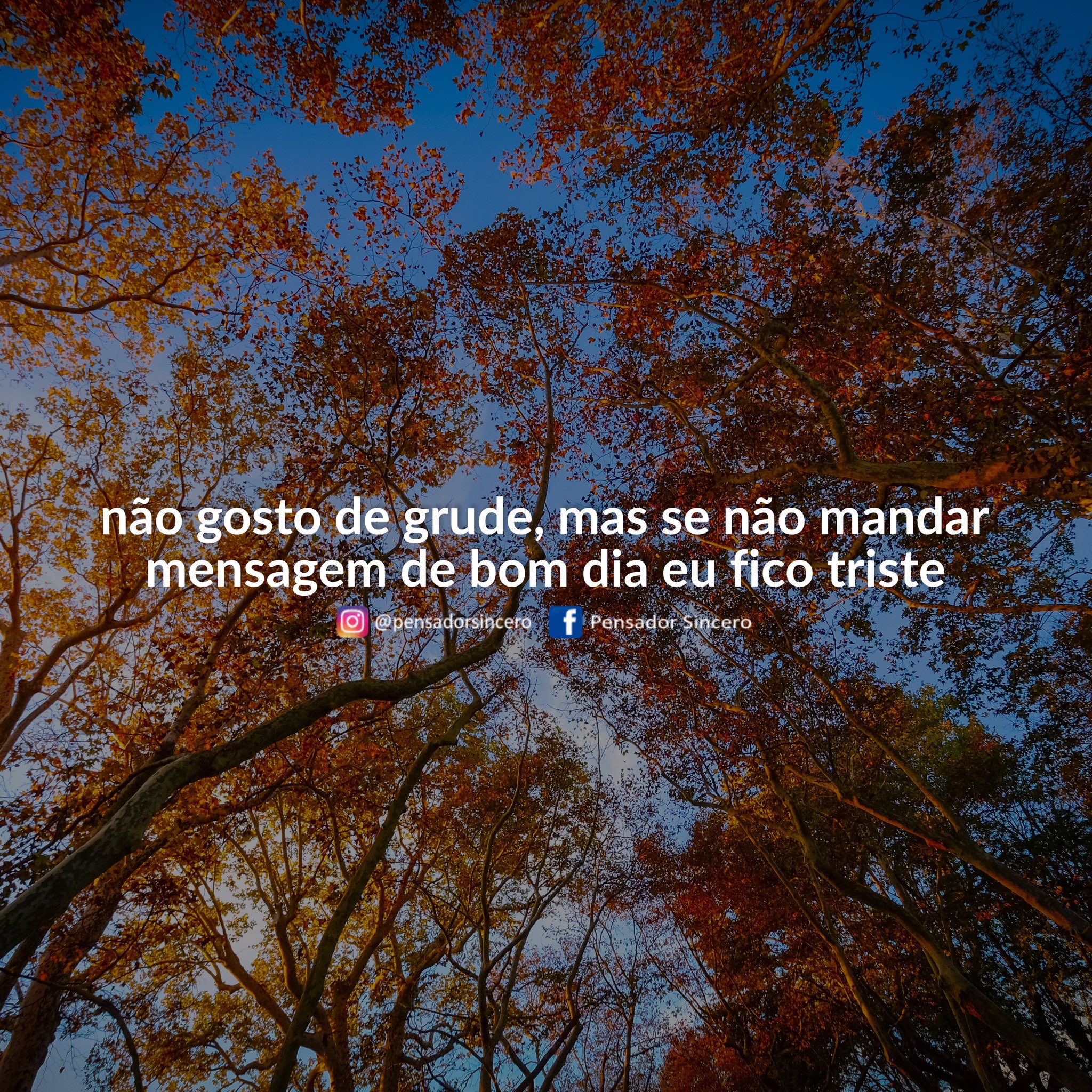 Pensador Sincero on Twitter: Pensador Sincero on Twitter: