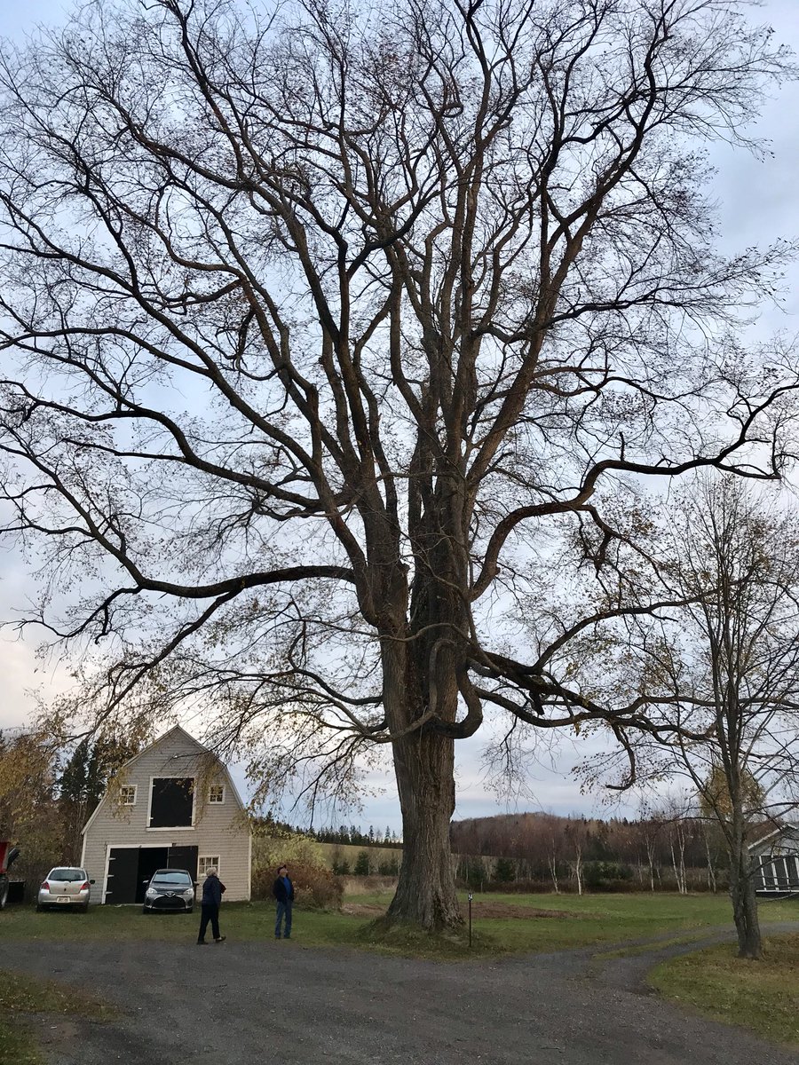 Jay Scotland tweet media