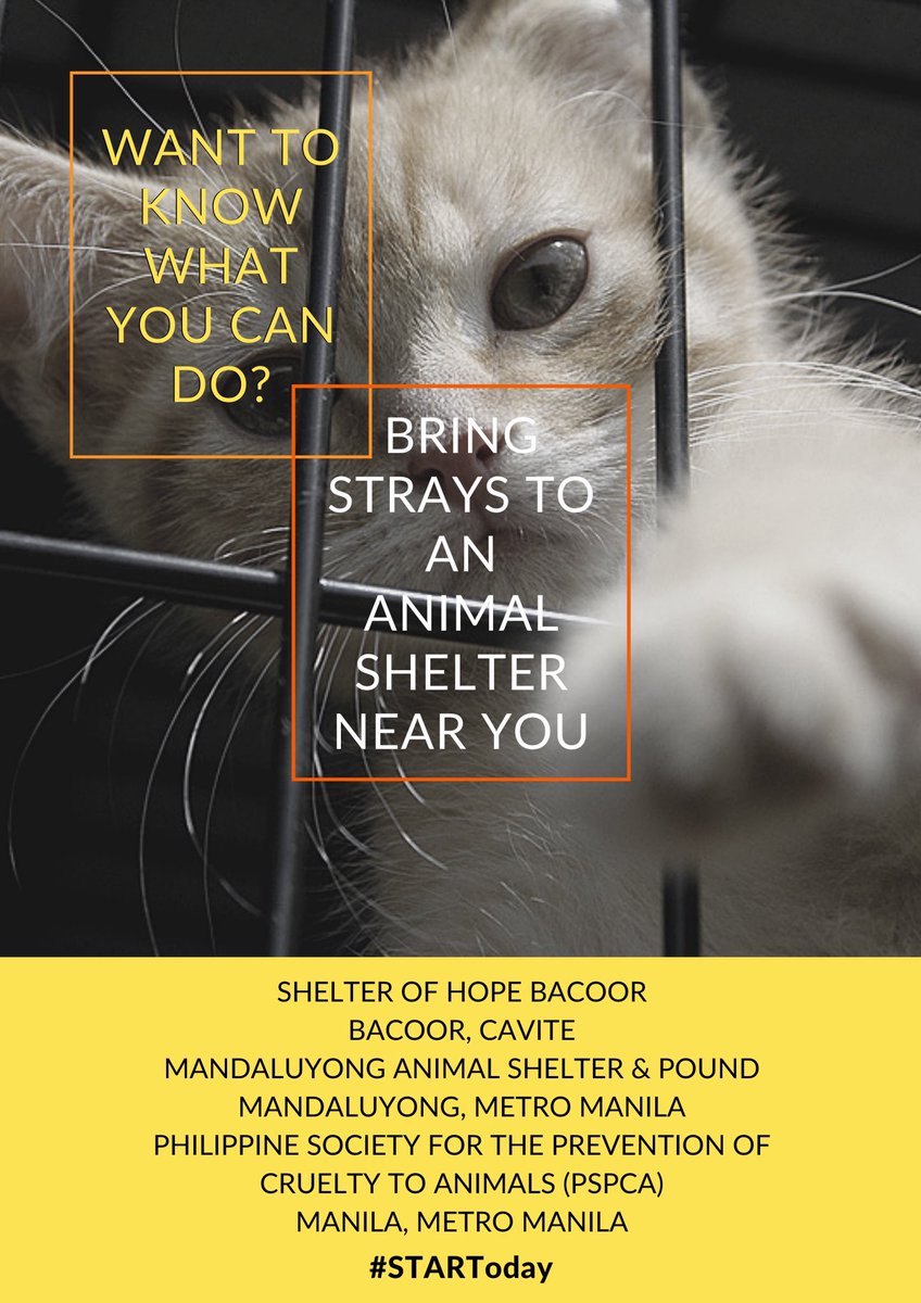 STARTPH2019's tweet image. Have you ever seen strays in places near you? Help them find a forever home today!

#STARTPhilippines
#STARToday
#animals
#animallove
#love
#care
#animalabuse
#savetheanimals